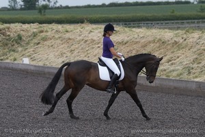 ISIS Dressage Challenge 2008